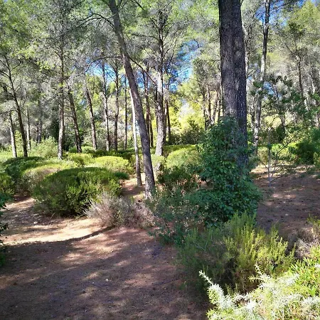 וילה Eleonore - A Pied Vue Piscine Sans Vis-a-vis Jardin 3600m² - Ted